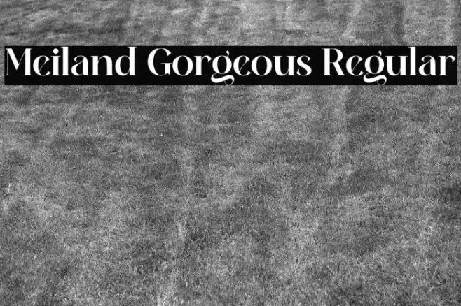 Meiland Gorgeous Regular Example 3