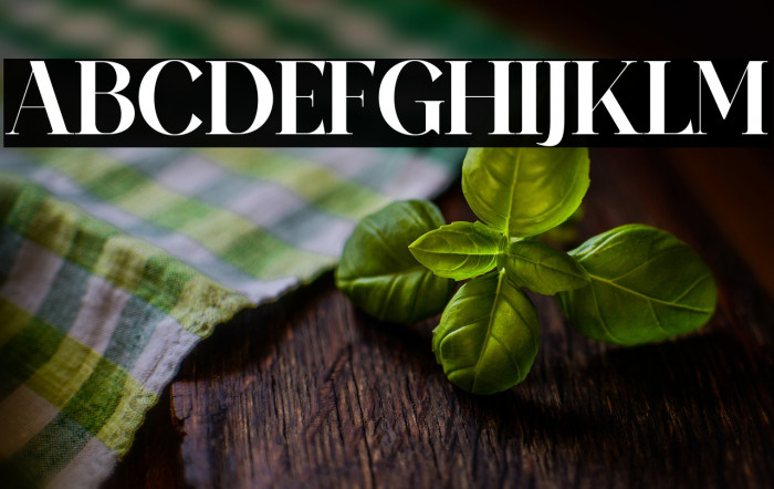 MeilandGorgeous-Regular Example 1