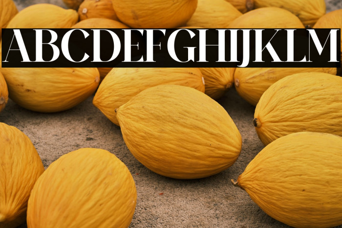 MeilandGorgeous-Regular Example 3