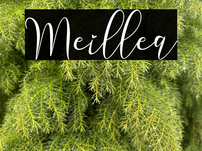 Meillea Example 2