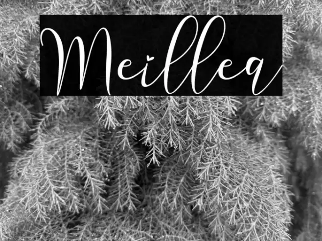Meillea Font examples