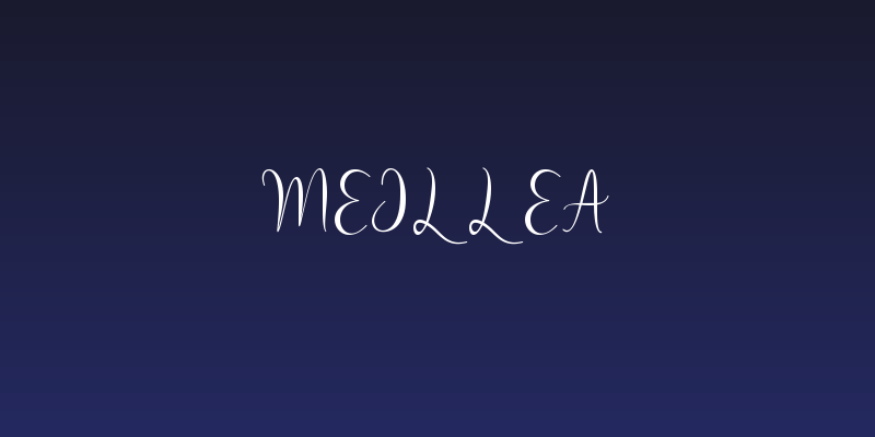 Meillea Social Header