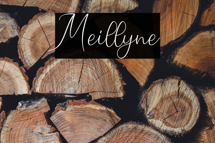 Meillyne Example 2