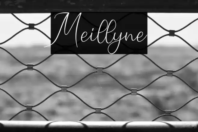 Meillyne Example 3