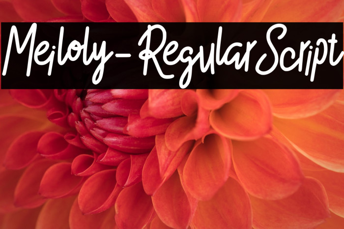 Meiloly-RegularScript Example 1