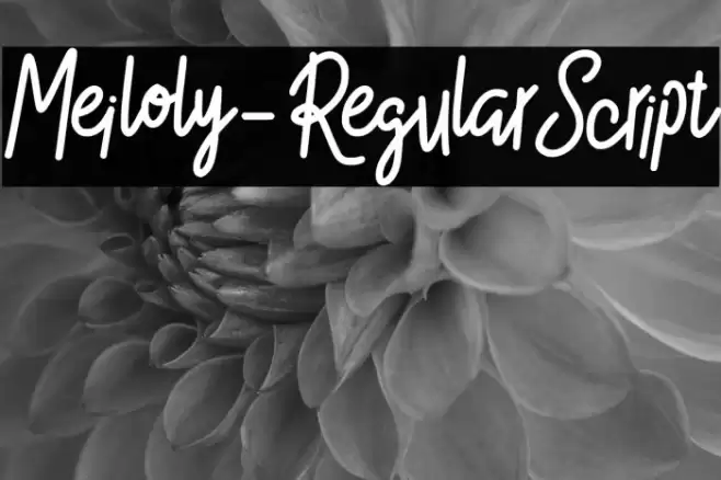 Meiloly-RegularScript Font examples