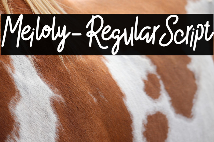 Meiloly-RegularScript Example 2