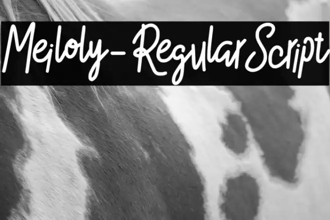 Meiloly-RegularScript Font examples