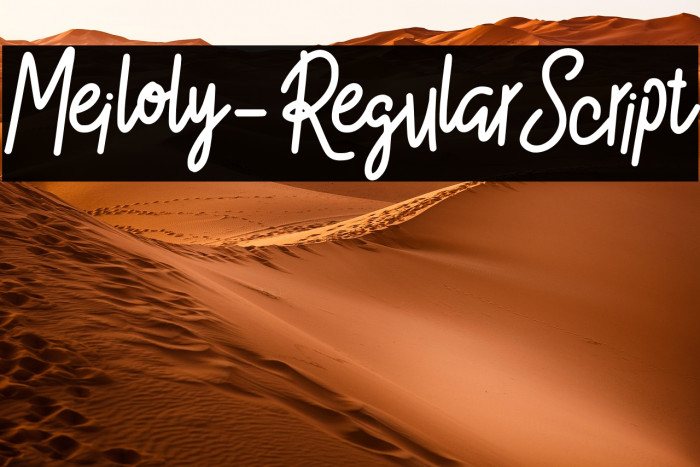 Meiloly-RegularScript Example 3