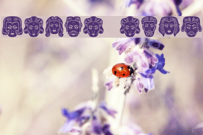 Meine Regular Font examples