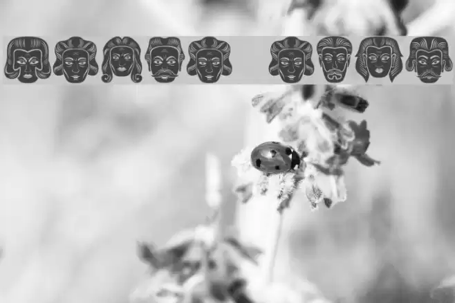 Meine Regular Font examples