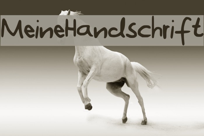 MeineHandschrift Example 2