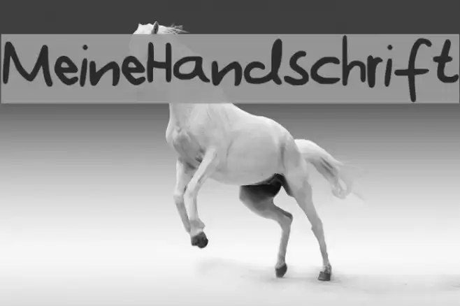 MeineHandschrift Font examples