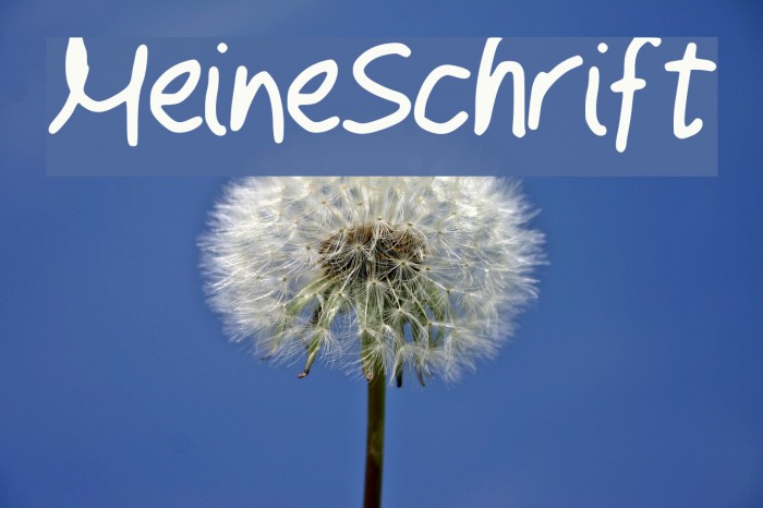 MeineSchrift Font examples