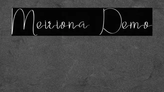 Meiriona Demo Example 1