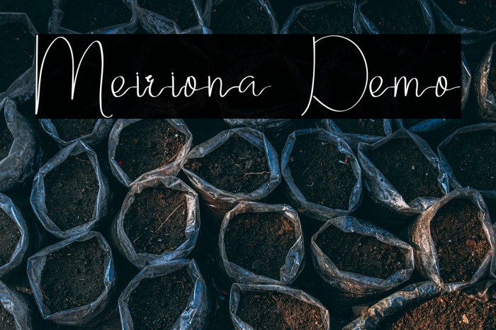 Meiriona Demo Example 3