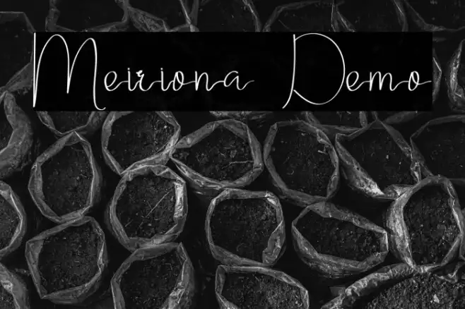 Meiriona Demo Example 3
