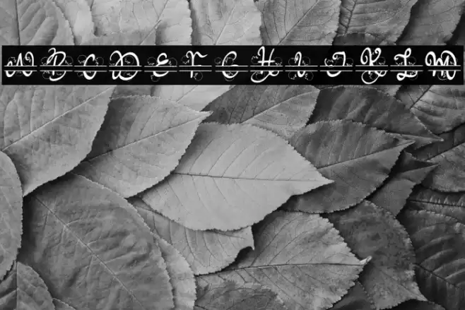 Meisha Monogram Schriftart examples