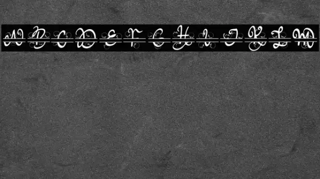 Meisha Monogram Schriftart examples