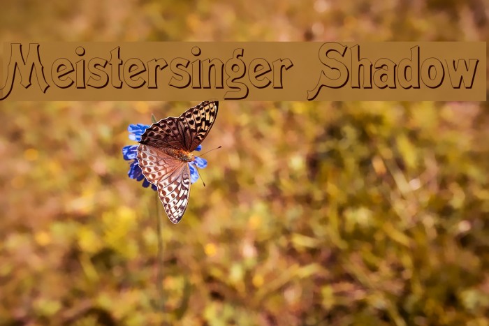 Meistersinger Shadow Font examples