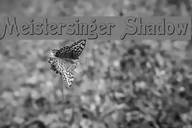 Meistersinger Shadow Example 1