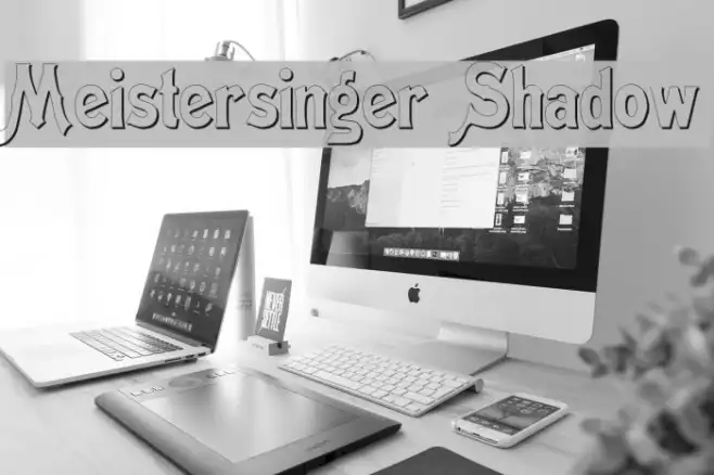 Meistersinger Shadow Example 2