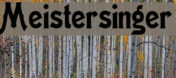 Meistersinger Font examples