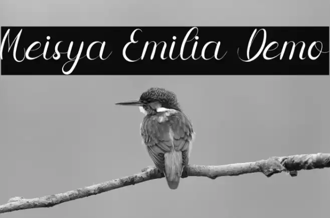 Meisya Emilia Demo Font examples