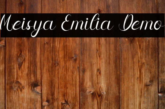 Meisya Emilia Demo Example 2