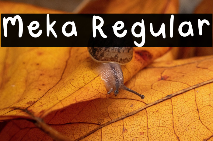 Meka Regular Example 1
