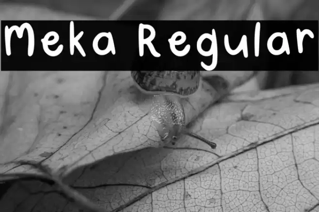 Meka Regular Font examples