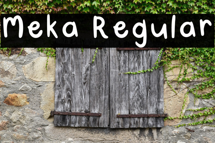 Meka Regular Example 3