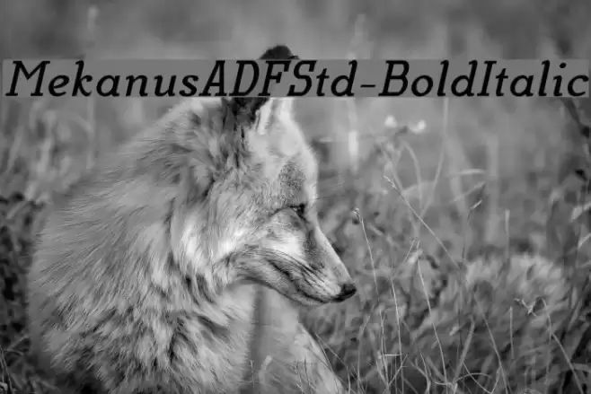 MekanusADFStd-BoldItalic Fuentes examples