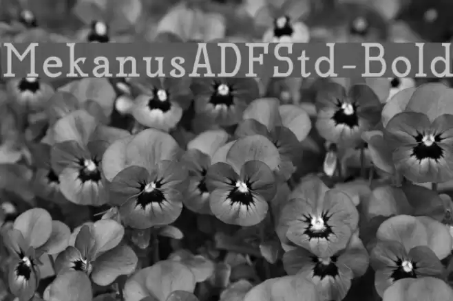MekanusADFStd-Bold Fuentes examples