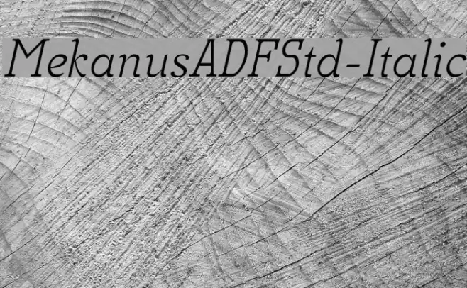 MekanusADFStd-Italic Fuentes examples
