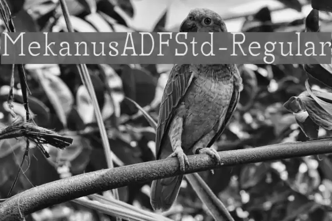 MekanusADFStd-Regular Font examples