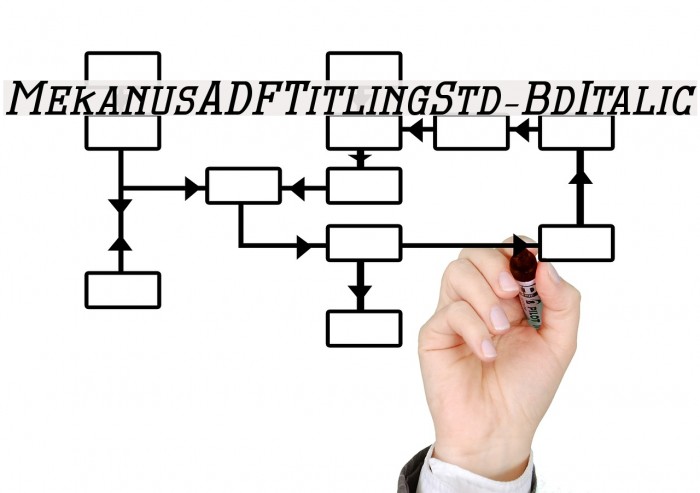 MekanusADFTitlingStd-BdItalic Font examples