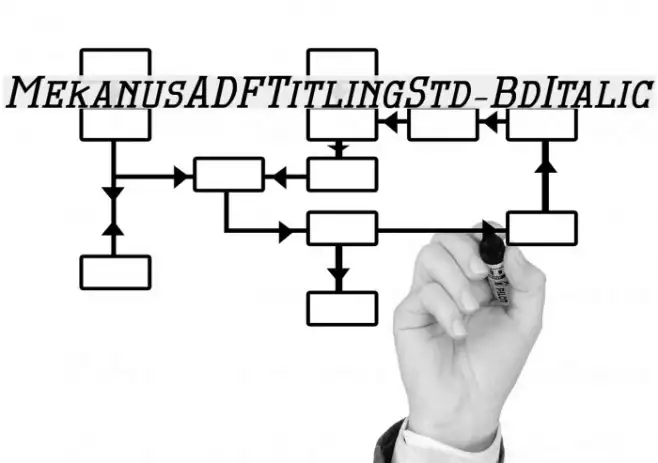 MekanusADFTitlingStd-BdItalic Example 1