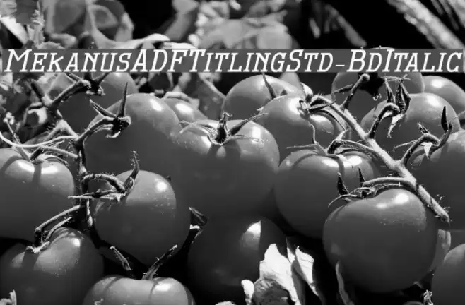 MekanusADFTitlingStd-BdItalic Example 3
