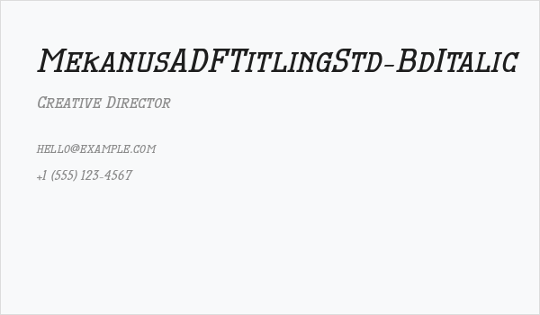 MekanusADFTitlingStd-BdItalic Business Card