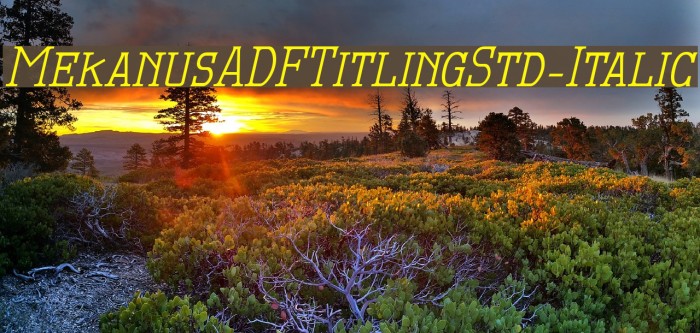 MekanusADFTitlingStd-Italic Fuentes examples