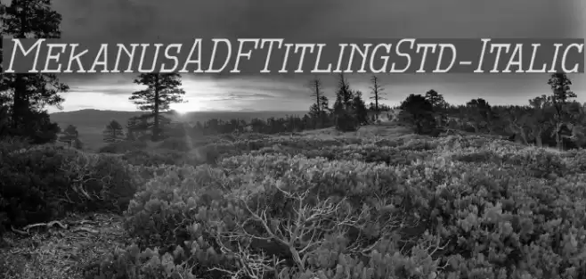 MekanusADFTitlingStd-Italic Fuentes examples