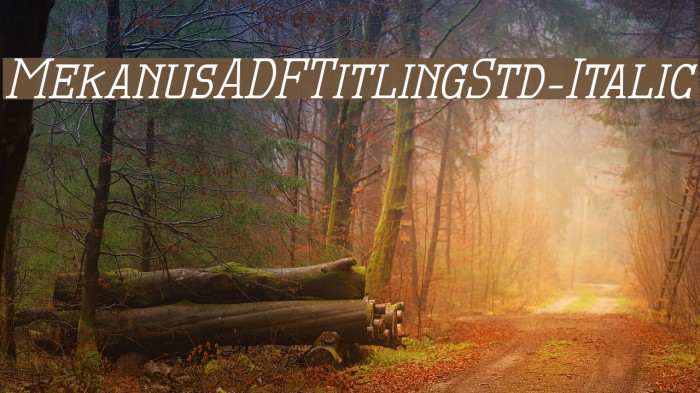 MekanusADFTitlingStd-Italic Fuentes examples