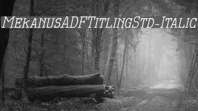 MekanusADFTitlingStd-Italic Fuentes examples