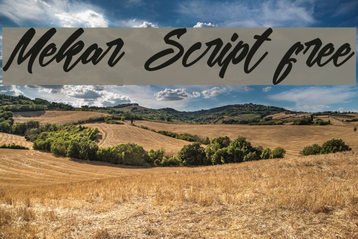 Mekar Script free Font examples