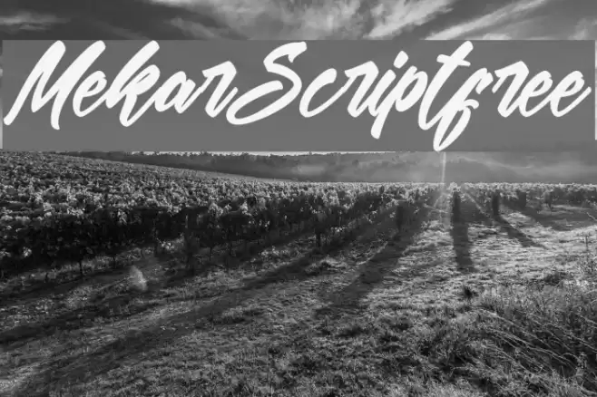 MekarScriptfree Шрифта examples