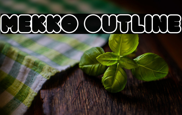 Mekko Outline Example 2