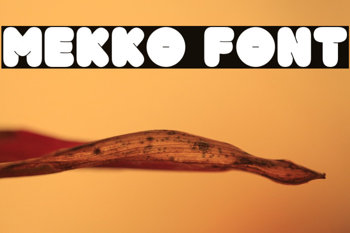 Mekko Example 1