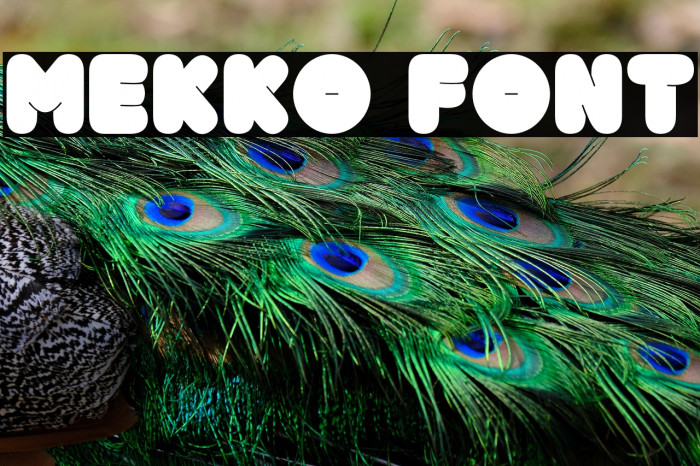 Mekko Example 3