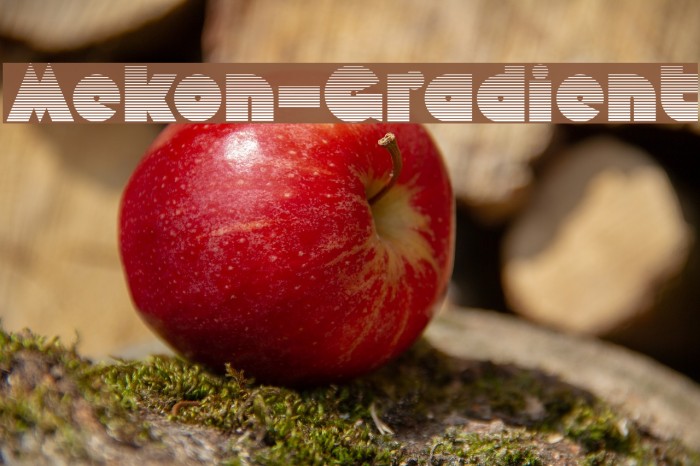 Mekon-Gradient Font examples